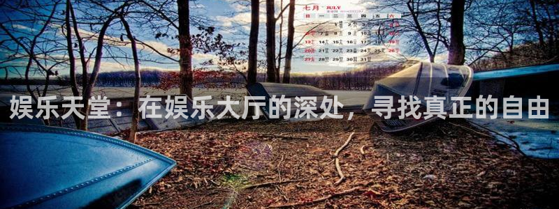 今年会：娱乐天堂：在娱乐大厅的深处，寻找真正的自由