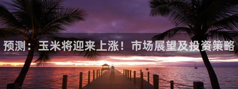 今年会注册网站链接：预测：玉米将迎来上涨！市场展望及投资策略