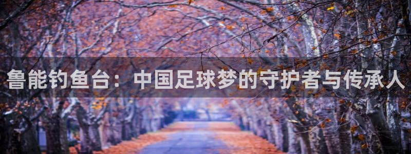 今年会体育注册登录入口：鲁能钓鱼台：中国足球梦的守护者与传承人