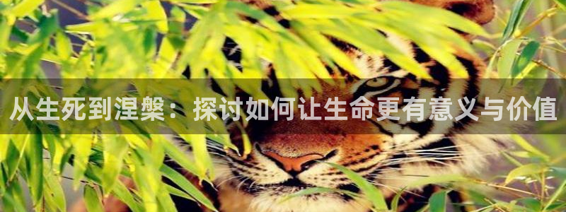 今年会2官网：从生死到涅槃：探讨如何让生命更有意义与价值