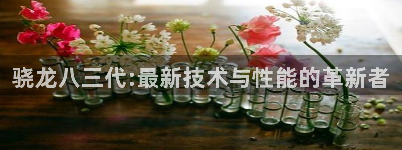 苹果版今年会下载安装：骁龙八三代:最新技术与性能的革新者