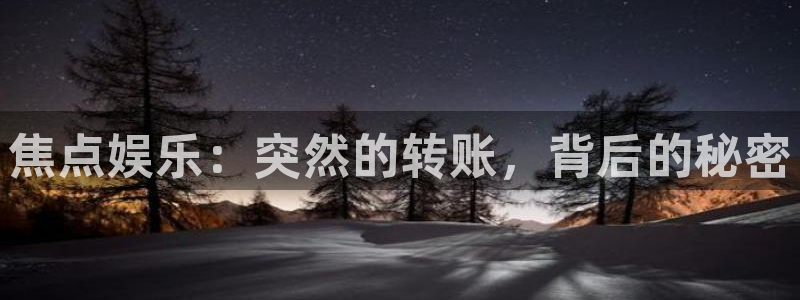 今年会体育注册登录入口：焦点娱乐：突然的转账，背后的秘密