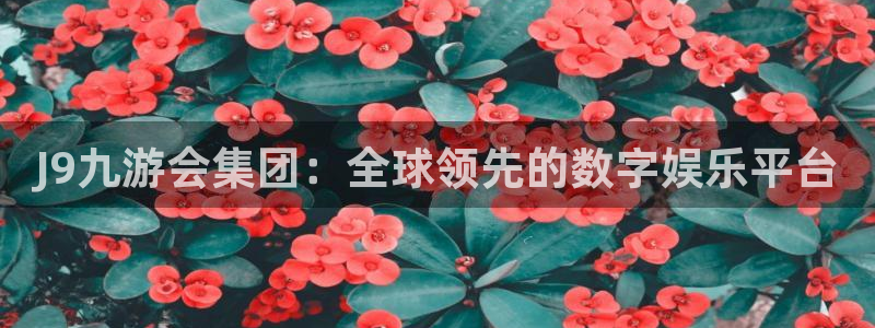 今年会3登陆：J9九游会集团：全球领先的数字娱乐平台