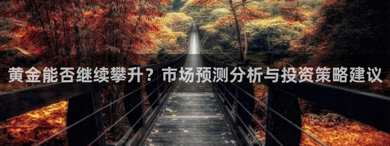 今年会2平台：黄金能否继续攀升？市场预测分析与投资策略建议
