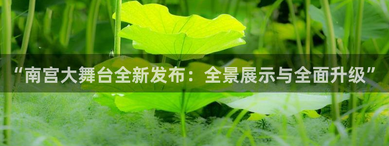 今年会官方网站：“南宫大舞台全新发布：全景展示与全面升级”