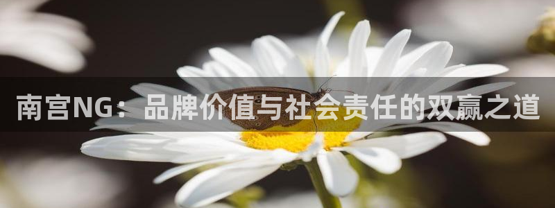 今年会app新版上线体验.游戏更新入口.中国：南宫NG：品牌价值与社会责任的双赢之道