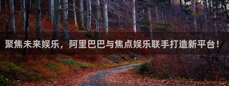 今年会2登录入口：聚焦未来娱乐，阿里巴巴与焦点娱乐联手打造新平台！