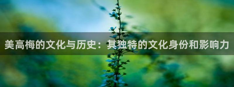 今年会体育1招商：美高梅的文化与历史：其独特的文化身份和影响力
