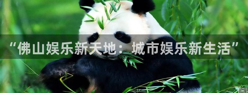 今年会登录网：“佛山娱乐新天地：城市娱乐新生活”