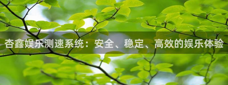 今年会体育平台登录入口：杏鑫娱乐测速系统：安全、稳定、高效的娱乐体验