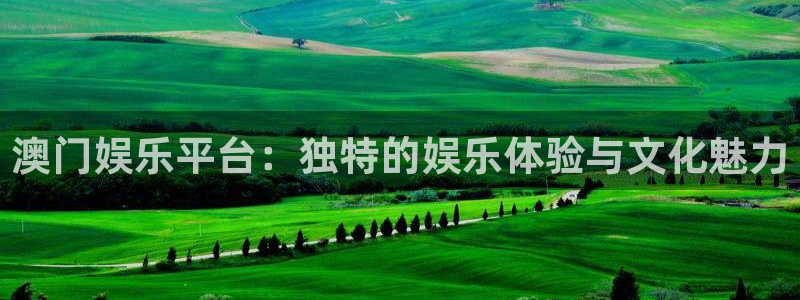 今年会手机客户端下载安装