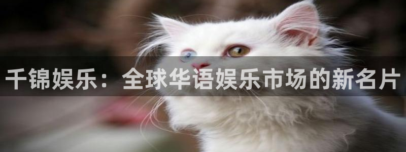 今年会零能源集团