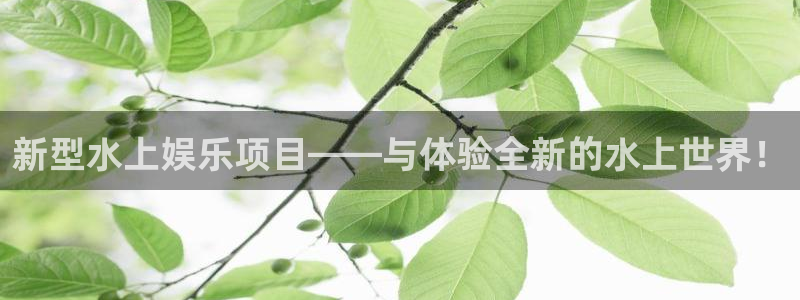 今年会网站平台：新型水上娱乐项目——与体验全新的水上世界！