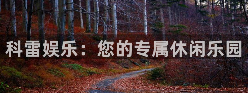 今年会下载入口：科雷娱乐：您的专属休闲乐园