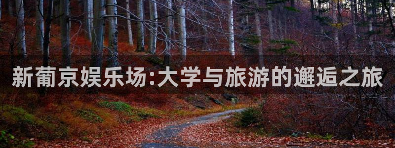 今年会平台招商：新葡京娱乐场:大学与旅游的邂逅之旅