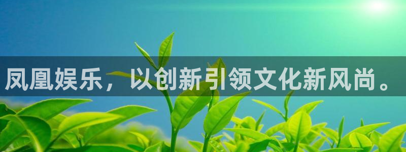 今年会招商：凤凰娱乐，以创新引领文化新风尚。