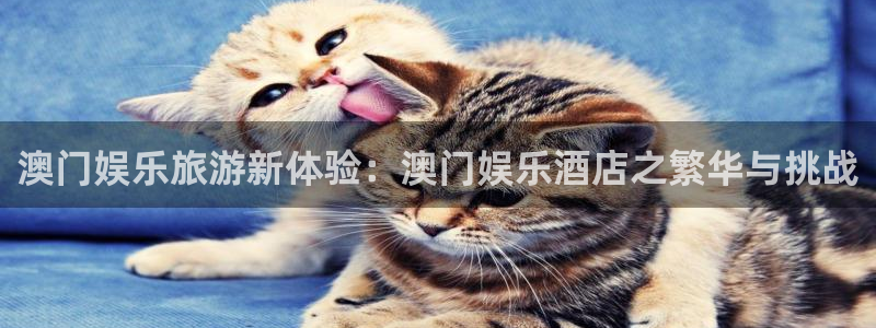 今年会下载链接是多少：澳门娱乐旅游新体验：澳门娱乐酒店之繁华与挑战