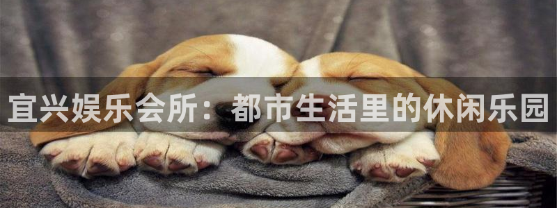 今年会凯捷平台：宜兴娱乐会所：都市生活里的休闲乐园