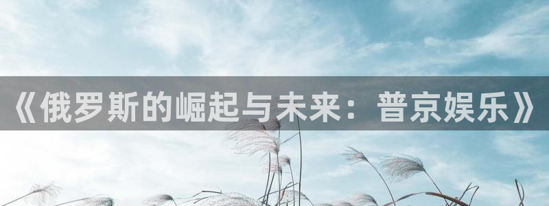 今年会路线1：《俄罗斯的崛起与未来：普京娱乐》