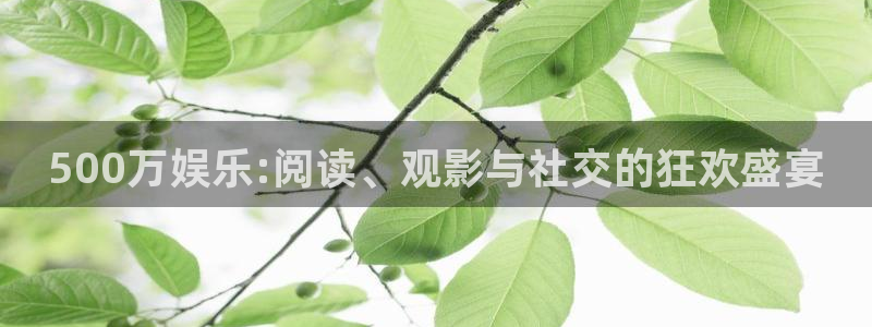 今年会kgame：500万娱乐:阅读、观影与社交的狂欢盛宴