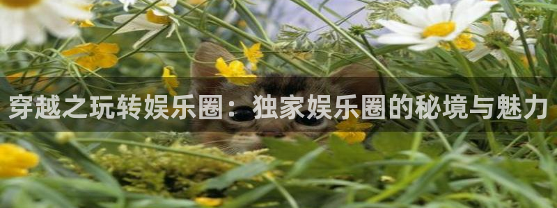 下载今年会：穿越之玩转娱乐圈：独家娱乐圈的秘境与魅力