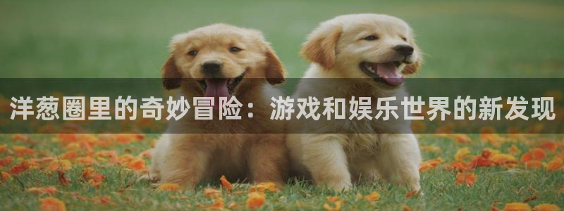 今年会分红代理计划：洋葱圈里的奇妙冒险：游戏和娱乐世界的新发现