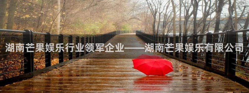 今年会网站平台：湖南芒果娱乐行业领军企业——湖南芒果娱乐有限公司