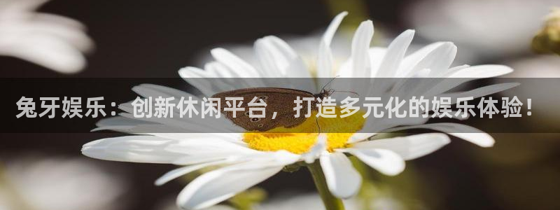 今年会3注册：兔牙娱乐：创新休闲平台，打造多元化的娱乐体验！
