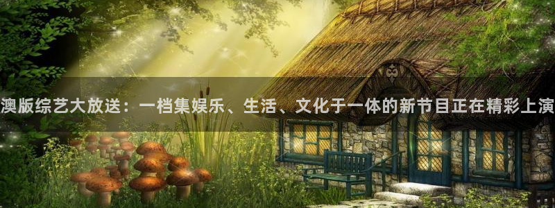 今年会体育2：澳版综艺大放送：一档集娱乐、生活、文化于一体的新节目正在精彩上演
