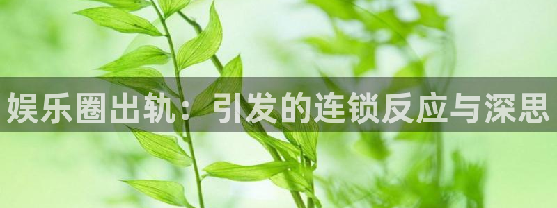今年会平台注册：娱乐圈出轨：引发的连锁反应与深思