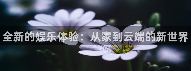 今年会平台下载入口：全新的娱乐体验：从家到云端的新世界