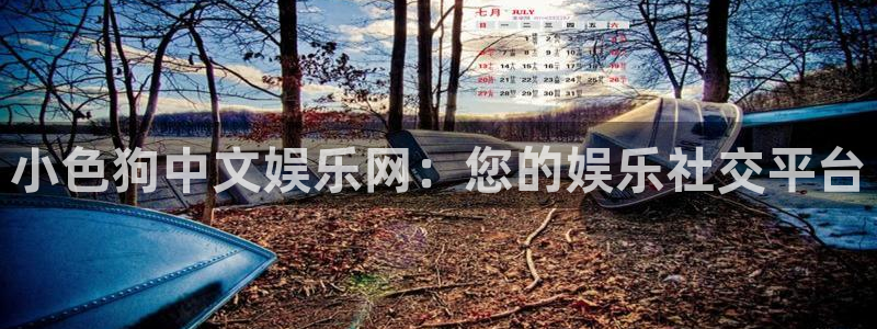 今年会：小色狗中文娱乐网：您的娱乐社交平台