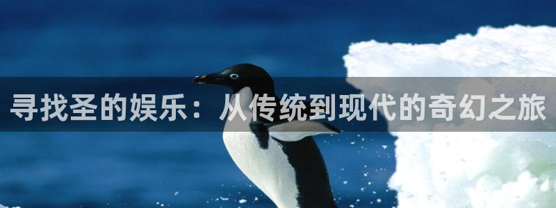 今年会官网：寻找圣的娱乐：从传统到现代的奇幻之旅
