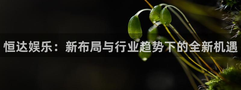 今年会.ccm官网版：恒达娱乐：新布局与行业趋势下的全新机遇