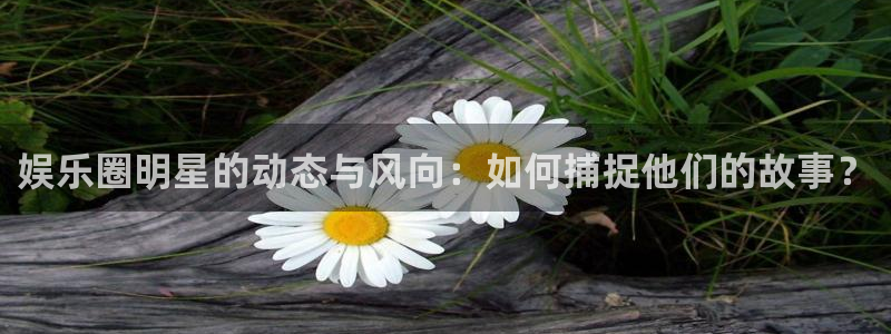 今年会是什么平台：娱乐圈明星的动态与风向：如何捕捉他们的故事？