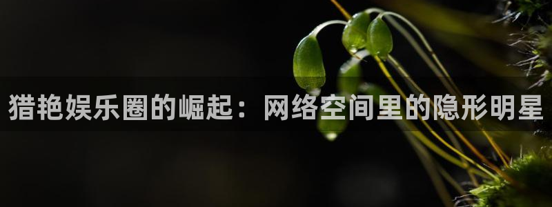 今年会4注册：猎艳娱乐圈的崛起：网络空间里的隐形明星