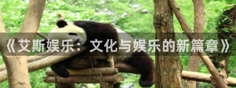 今年会体育3：《艾斯娱乐：文化与娱乐的新篇章》