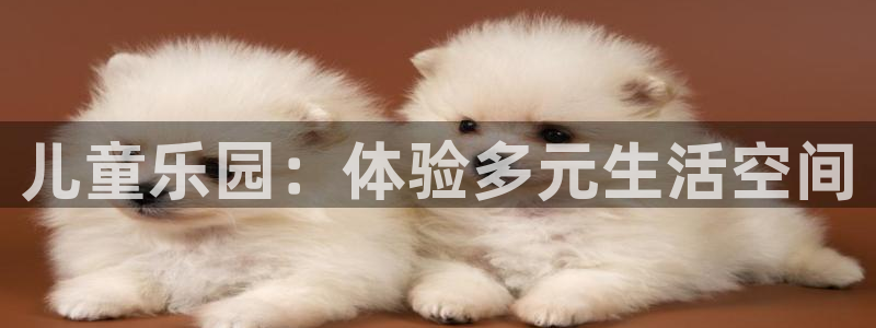 今年会体育平台注册：儿童乐园：体验多元生活空间