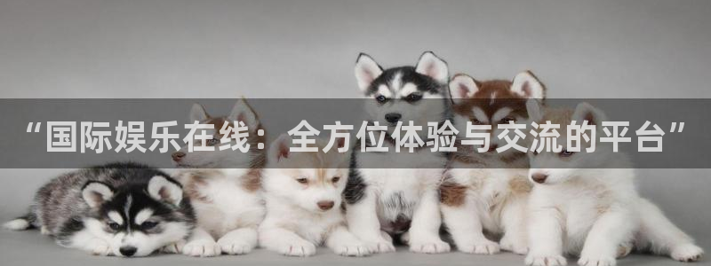 今年会软件：“国际娱乐在线：全方位体验与交流的平台”