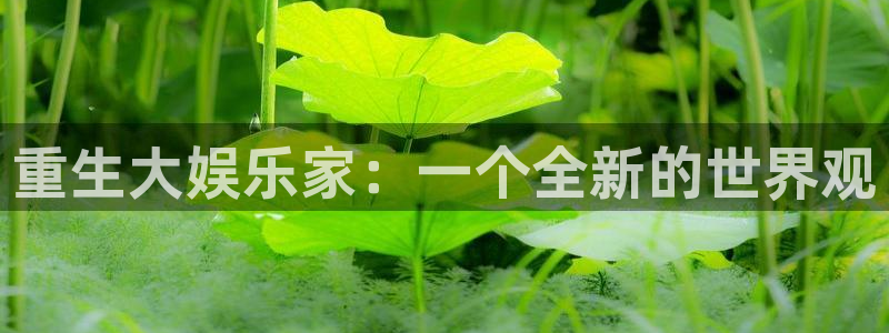 今年会2官网：重生大娱乐家：一个全新的世界观